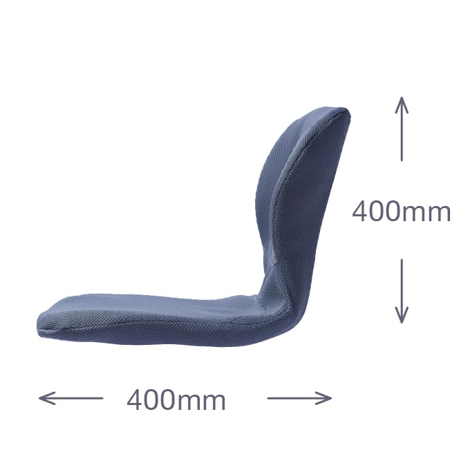 Amazon.co.jp: PINTO W 【正規品】骨を支える腰ラク習慣 疲れを感じ